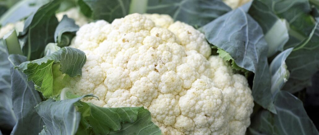 cauliflower-1465732_1280